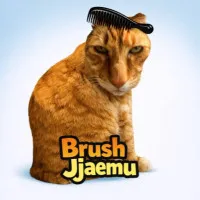 Brush Jjaemu